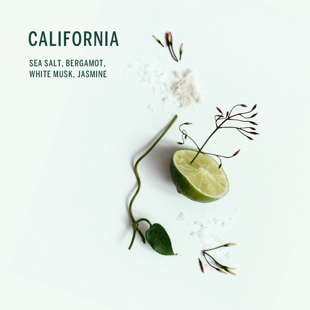 Buy, Shop Plant Based Deodorant - California Online in Dubai, UAE, Saudi Arabia, KSA, Kuwait - OKTA