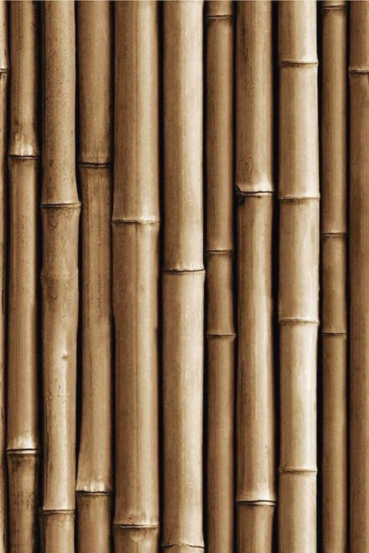 Buy, Shop Hyeja Vegan Bamboo Barrier Peptides Sunscreen SPF 50+ PA++++ Online in Dubai, UAE, Saudi Arabia, KSA, Kuwait - OKTA