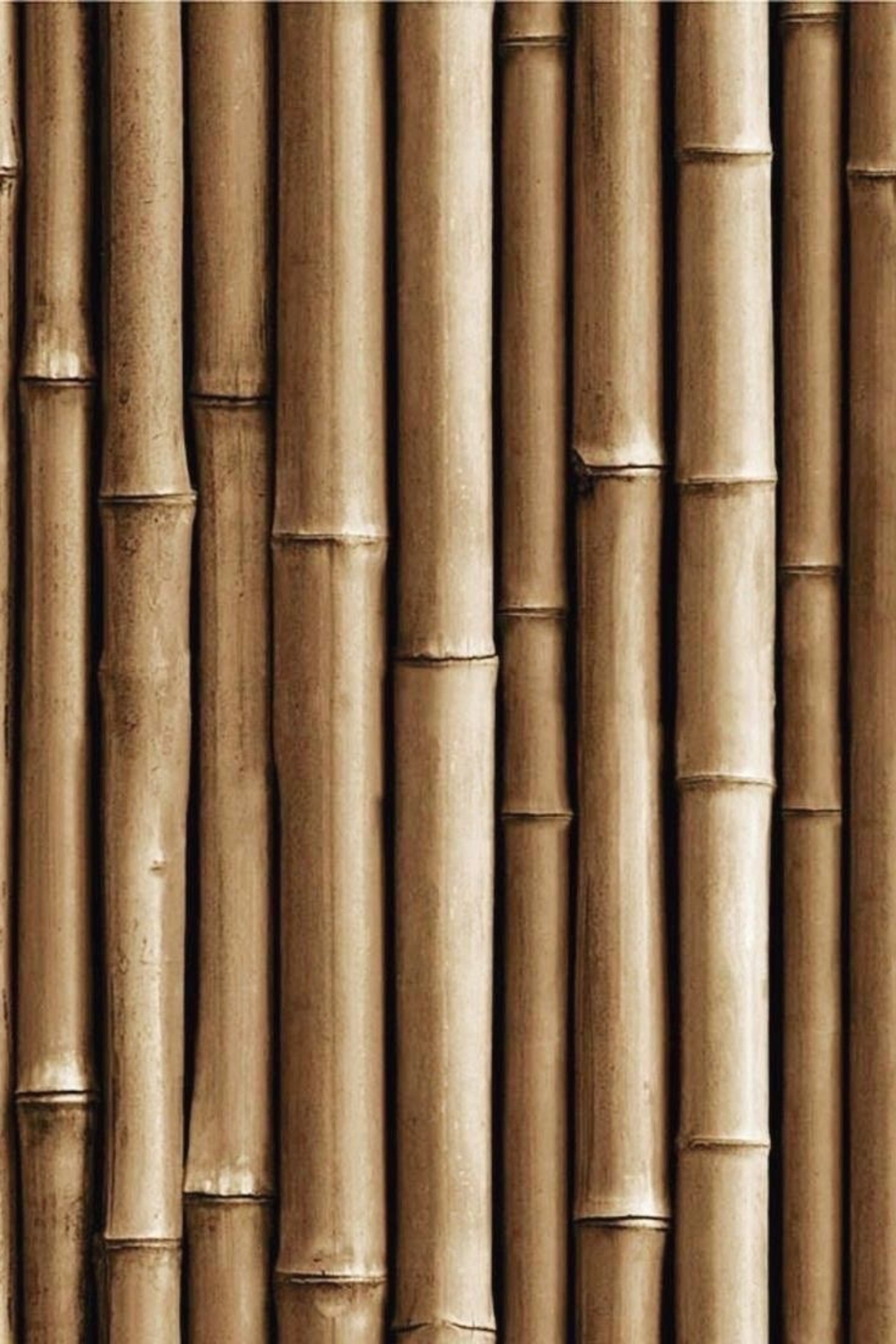 Buy, Shop Hyeja Vegan Bamboo Barrier Peptides Sunscreen SPF 50+ PA++++ Online in Dubai, UAE, Saudi Arabia, KSA, Kuwait - OKTA