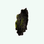 Buy, Shop Katrafay Body Scrub Online in Dubai, UAE, Saudi Arabia, KSA, Kuwait - OKTA