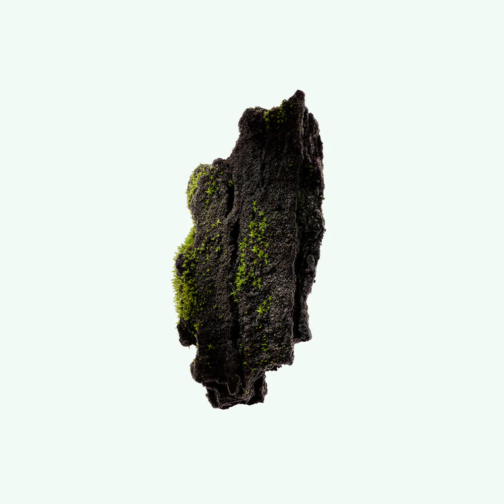 Buy, Shop Katrafay Body Scrub Online in Dubai, UAE, Saudi Arabia, KSA, Kuwait - OKTA