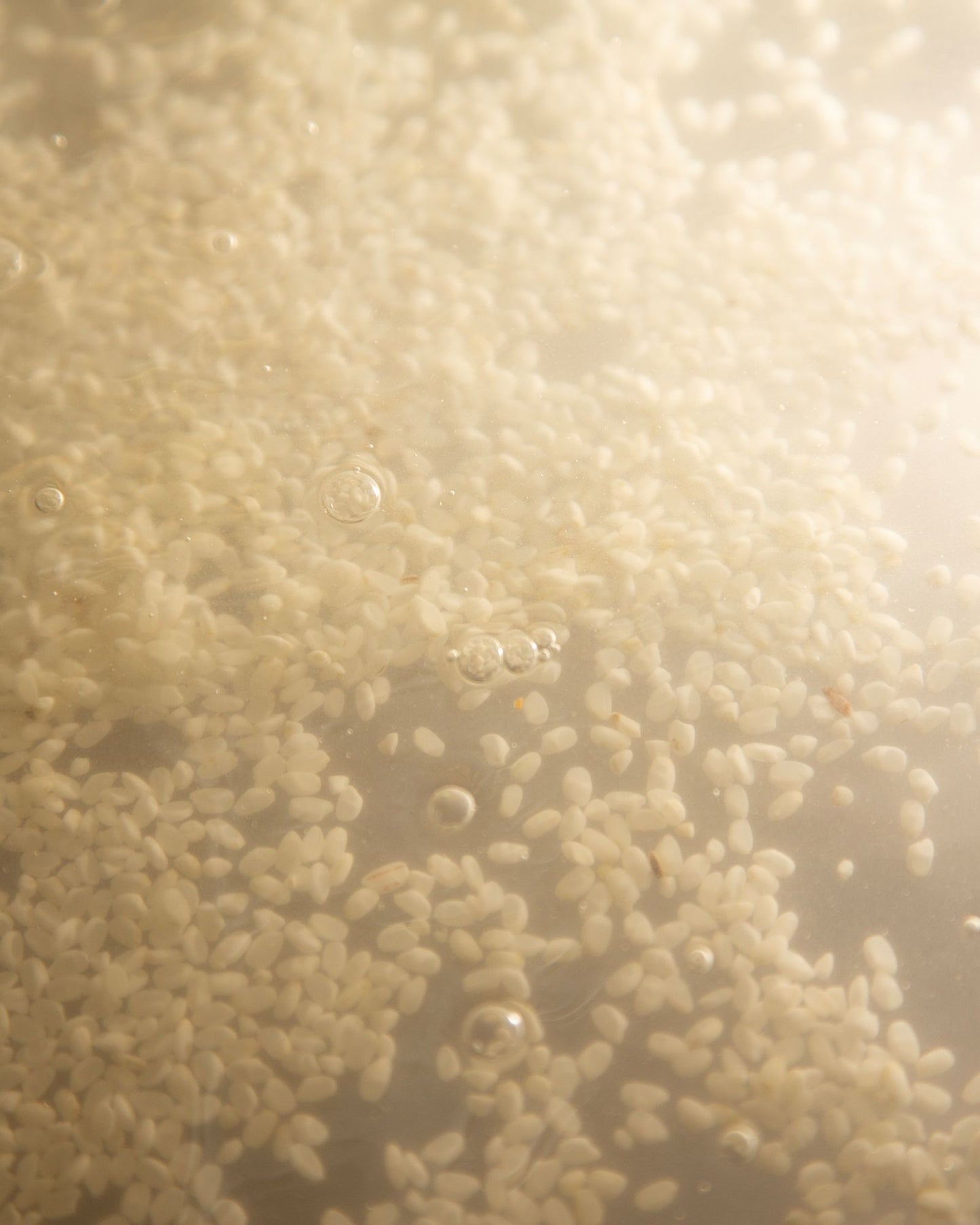 Buy, Shop Hyeja Vegan Rice Probiotics Gentle Micellar Cleansing Milk Online in Dubai, UAE, Saudi Arabia, KSA, Kuwait - OKTA