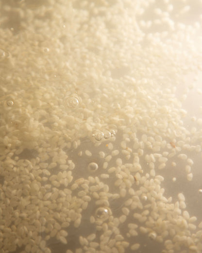 Buy, Shop Hyeja Vegan Rice Probiotics Gentle Micellar Cleansing Milk Online in Dubai, UAE, Saudi Arabia, KSA, Kuwait - OKTA