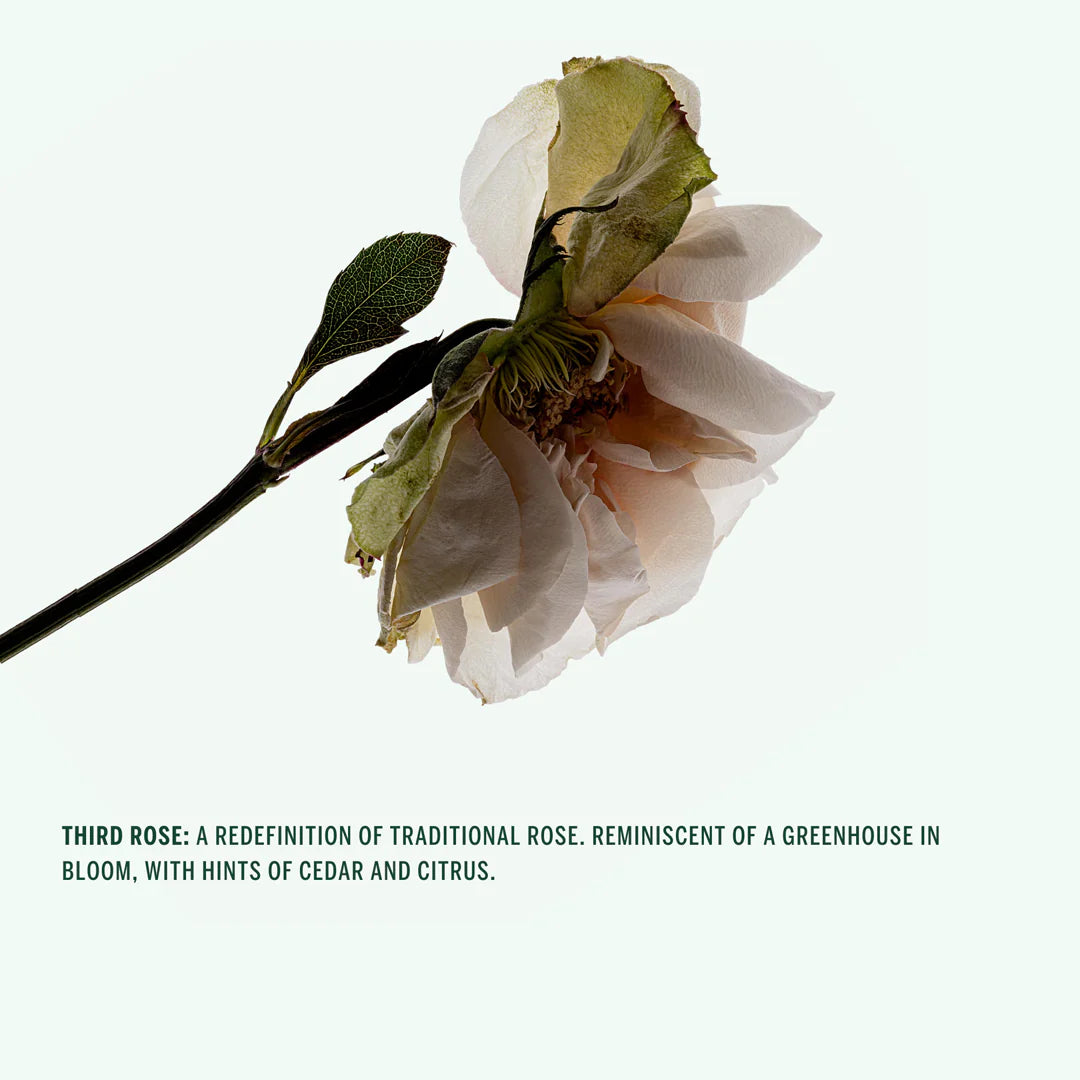 Buy, Shop Corpus Naturals Spray Deodorant - Third Rose Online in Dubai, UAE, Saudi Arabia, KSA, Kuwait - OKTA