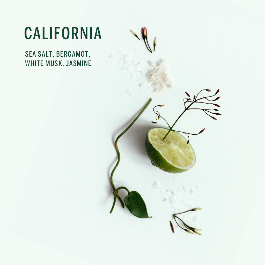 Buy, Shop Plant Based Deodorant - California Online in Dubai, UAE, Saudi Arabia, KSA, Kuwait - OKTA