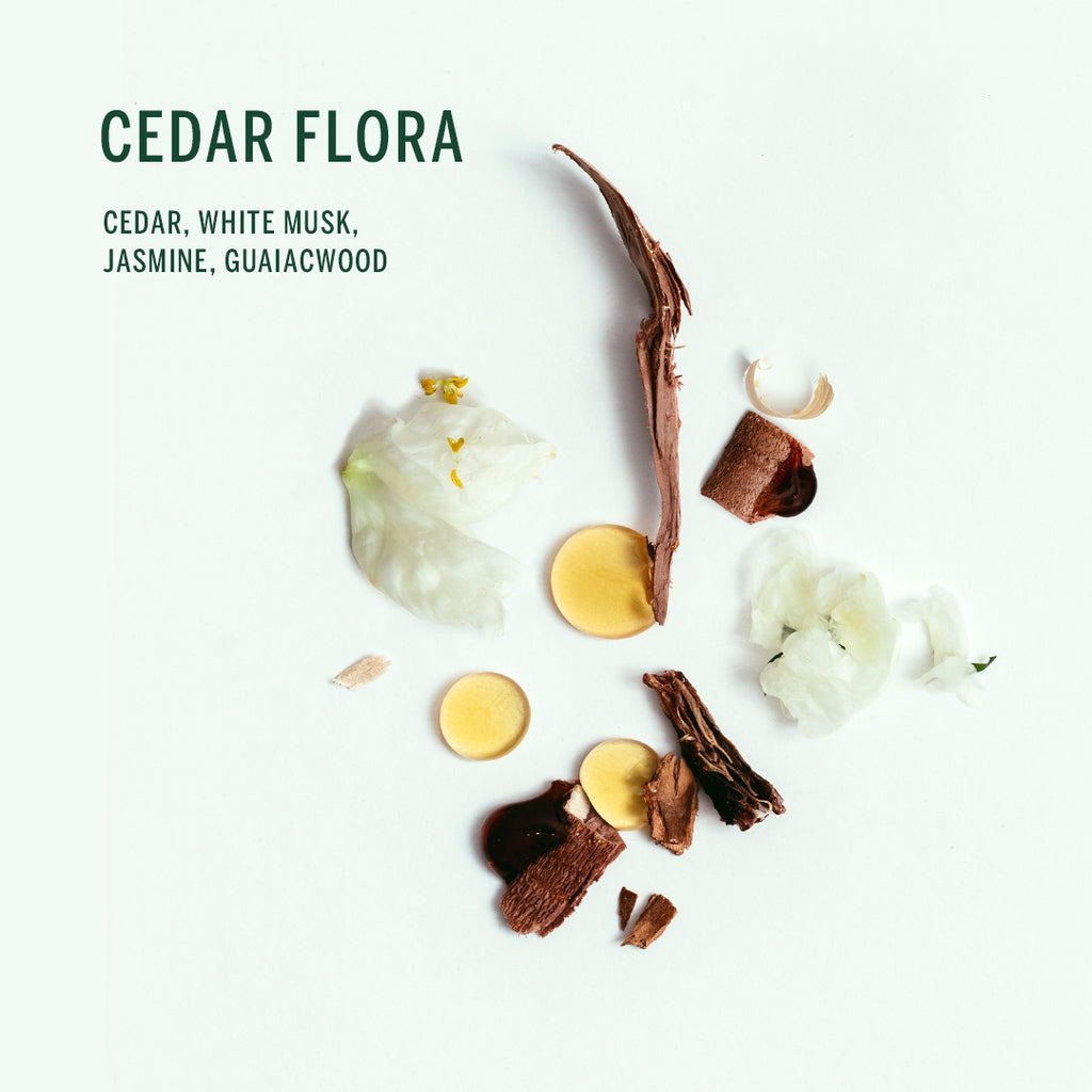 Buy, Shop Plant Based Deodorant - Cedar Flora Online in Dubai, UAE, Saudi Arabia, KSA, Kuwait - OKTA