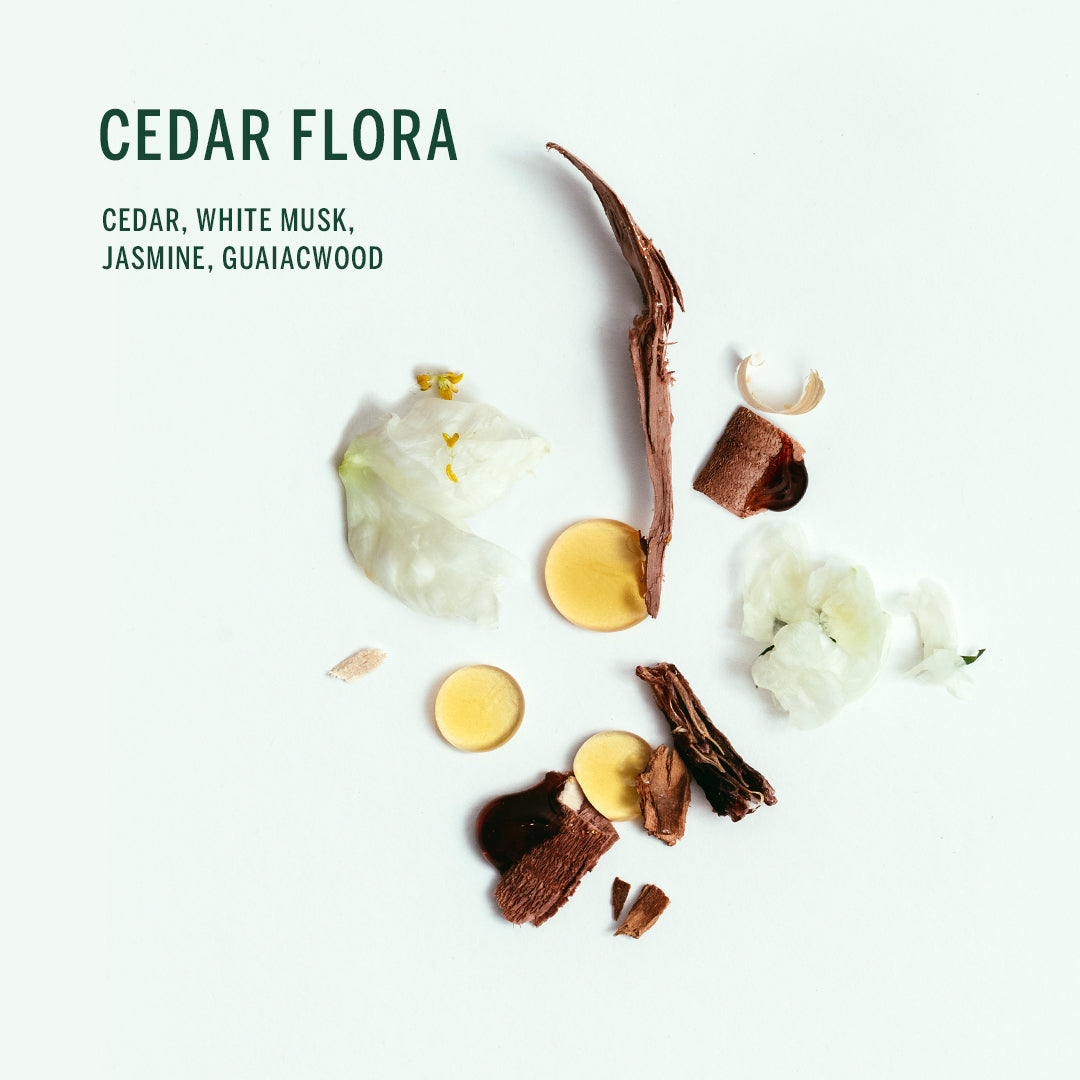 Buy, Shop Plant Based Deodorant - Cedar Flora Online in Dubai, UAE, Saudi Arabia, KSA, Kuwait - OKTA