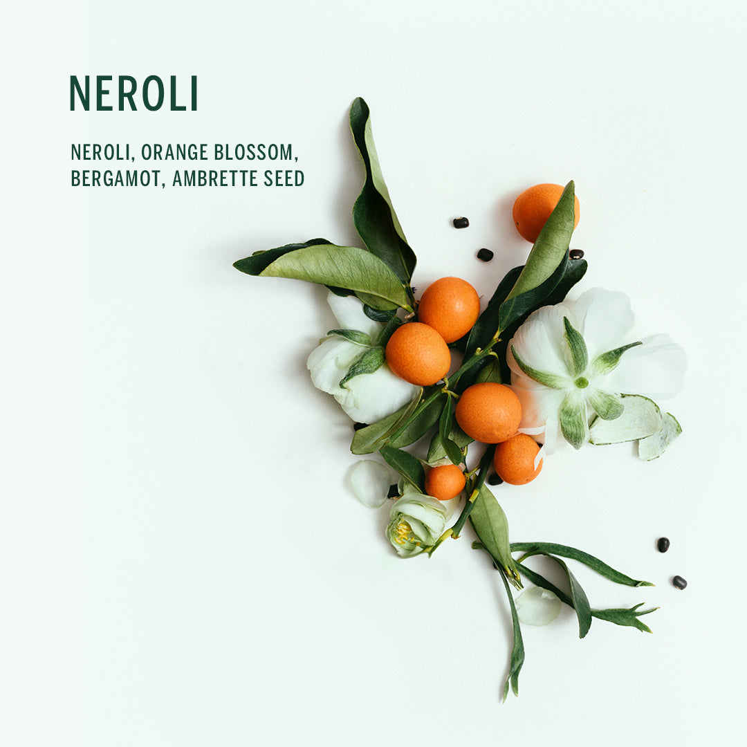 Buy, Shop Plant Based Deodorant - Neroli Online in Dubai, UAE, Saudi Arabia, KSA, Kuwait - OKTA