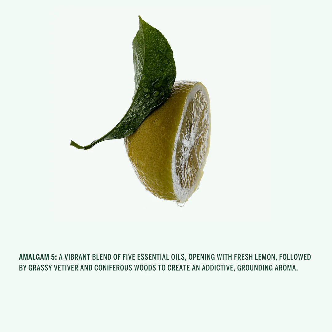 Buy, Shop Corpus Naturals Aromatic Hand Wash - Amalgam 5 Online in Dubai, UAE, Saudi Arabia, KSA, Kuwait - OKTA