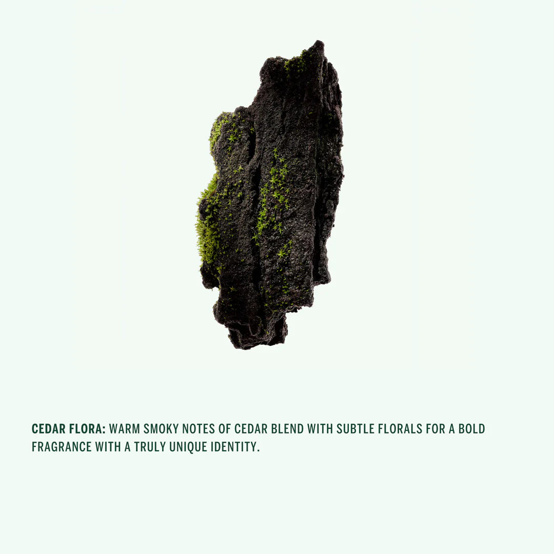 Buy, Shop Corpus Naturals Spray Deodorant - Cedar Flora Online in Dubai, UAE, Saudi Arabia, KSA, Kuwait - OKTA