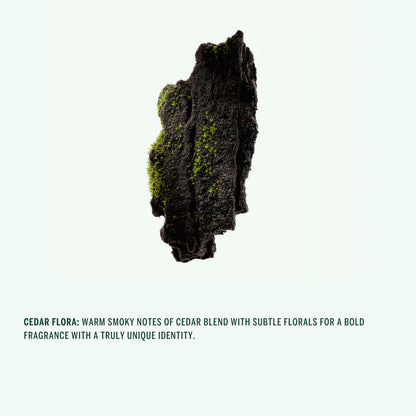 Buy, Shop Corpus Naturals Spray Deodorant - Cedar Flora Online in Dubai, UAE, Saudi Arabia, KSA, Kuwait - OKTA