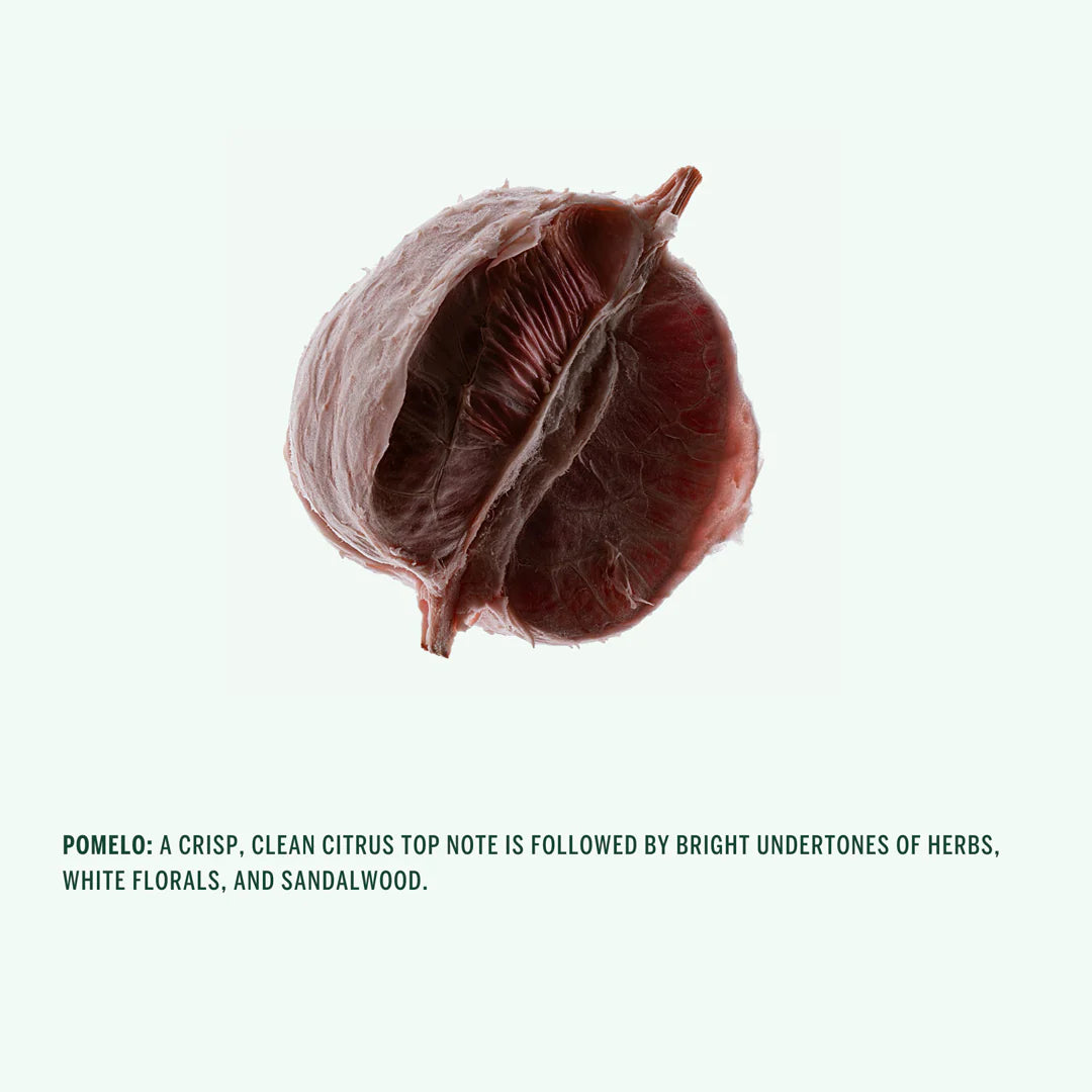 Buy, Shop Corpus Naturals Spray Deodorant - Pomelo Online in Dubai, UAE, Saudi Arabia, KSA, Kuwait - OKTA