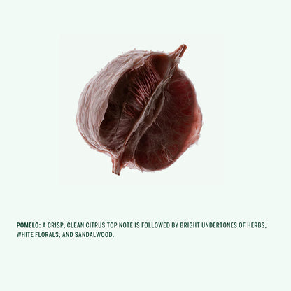 Buy, Shop Corpus Naturals Spray Deodorant - Pomelo Online in Dubai, UAE, Saudi Arabia, KSA, Kuwait - OKTA