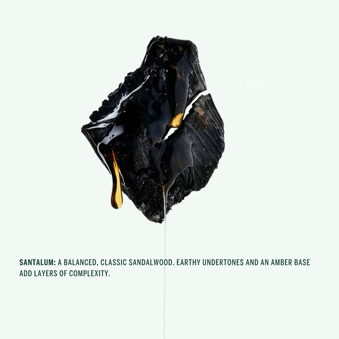 Buy, Shop Corpus Naturals Body Wash - Santalum Online in Dubai, UAE, Saudi Arabia, KSA, Kuwait - OKTA