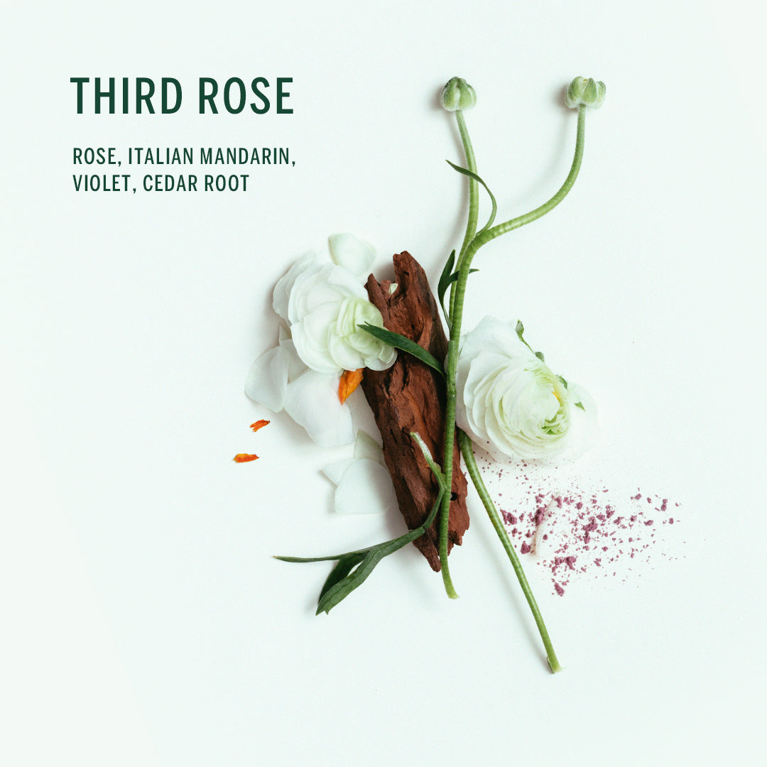 Buy, Shop Plant Based Deodorant - Third Rose Online in Dubai, UAE, Saudi Arabia, KSA, Kuwait - OKTA