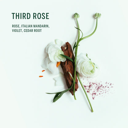 Buy, Shop Plant Based Deodorant - Third Rose Online in Dubai, UAE, Saudi Arabia, KSA, Kuwait - OKTA