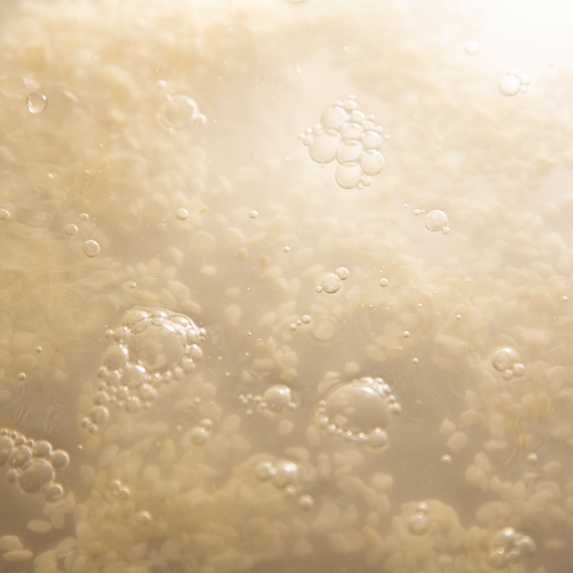 Buy, Shop Hyeja Vegan Ginseng HPR Retinoid + Bakuchiol Nutrient Face Oil Online in Dubai, UAE, Saudi Arabia, KSA, Kuwait - OKTA