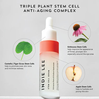 Buy, Shop Stem Cell Serum Online in Dubai, UAE, Saudi Arabia, KSA, Kuwait - OKTA