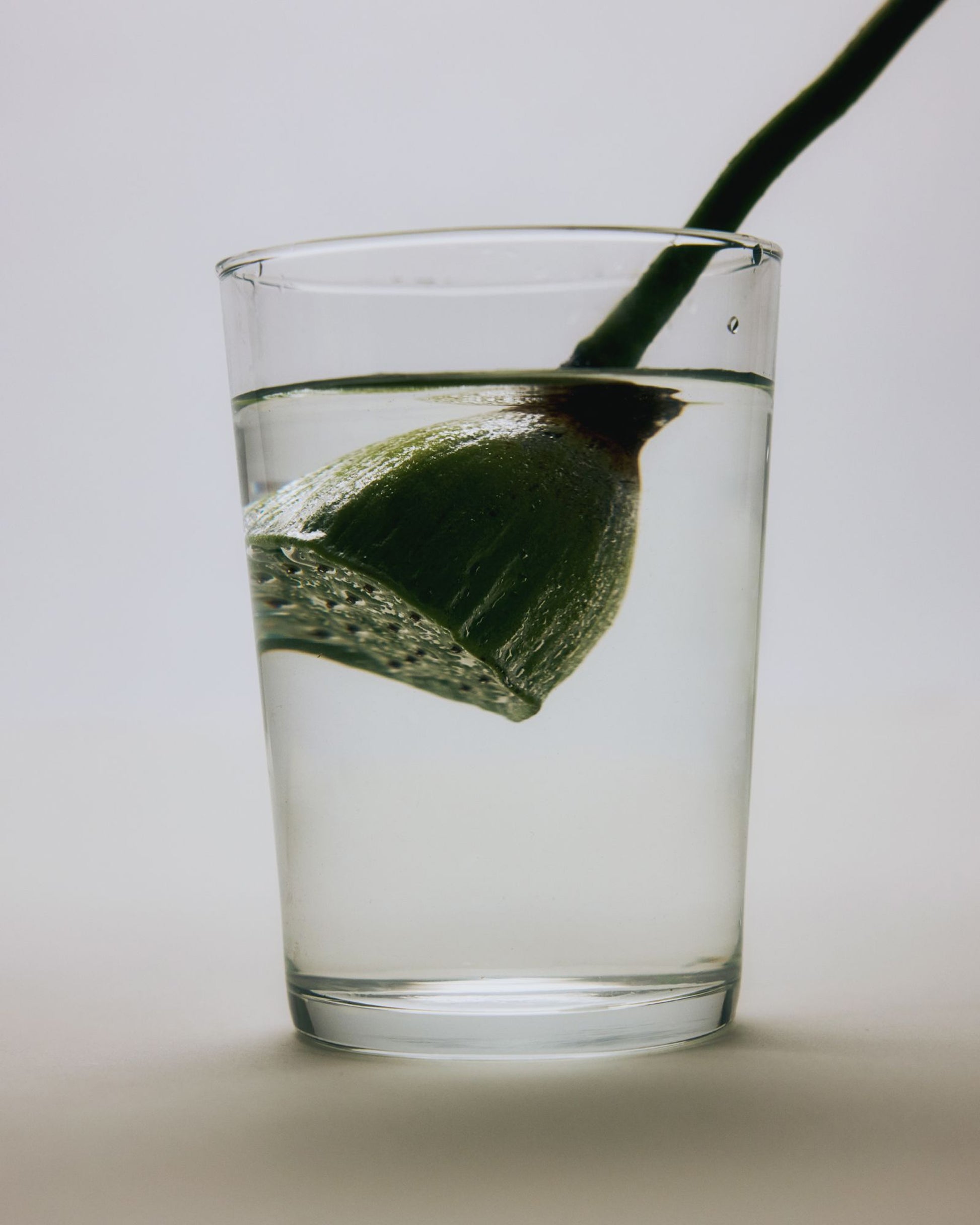 Buy, Shop Hyeja Vegan Lotus Gentle Purifying PHA Facial Mist Online in Dubai, UAE, Saudi Arabia, KSA, Kuwait - OKTA