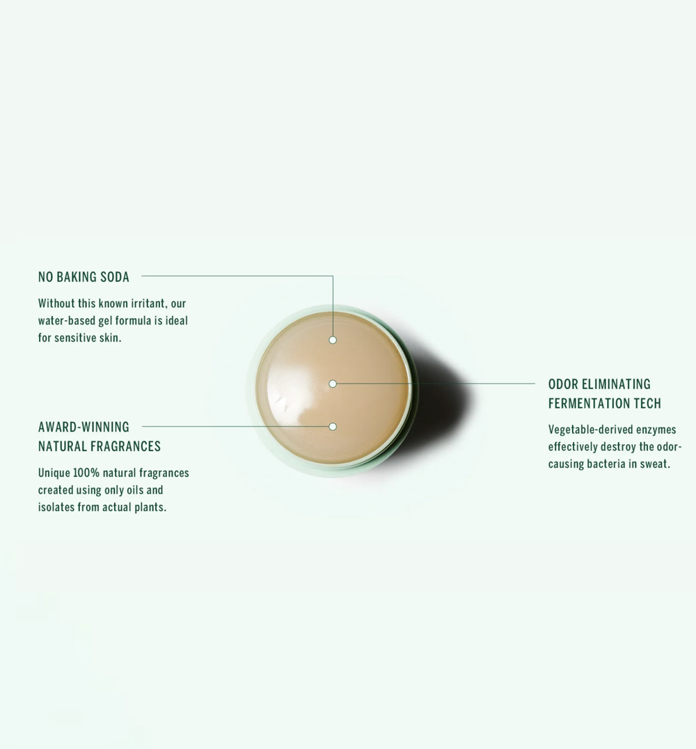 Buy, Shop Plant Based Deodorant - Santalum Online in Dubai, UAE, Saudi Arabia, KSA, Kuwait - OKTA