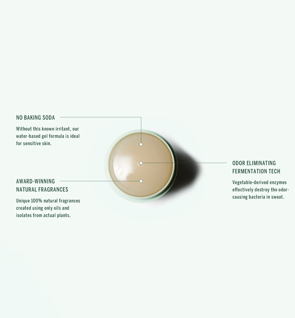 Buy, Shop Plant Based Deodorant - Third Rose Online in Dubai, UAE, Saudi Arabia, KSA, Kuwait - OKTA