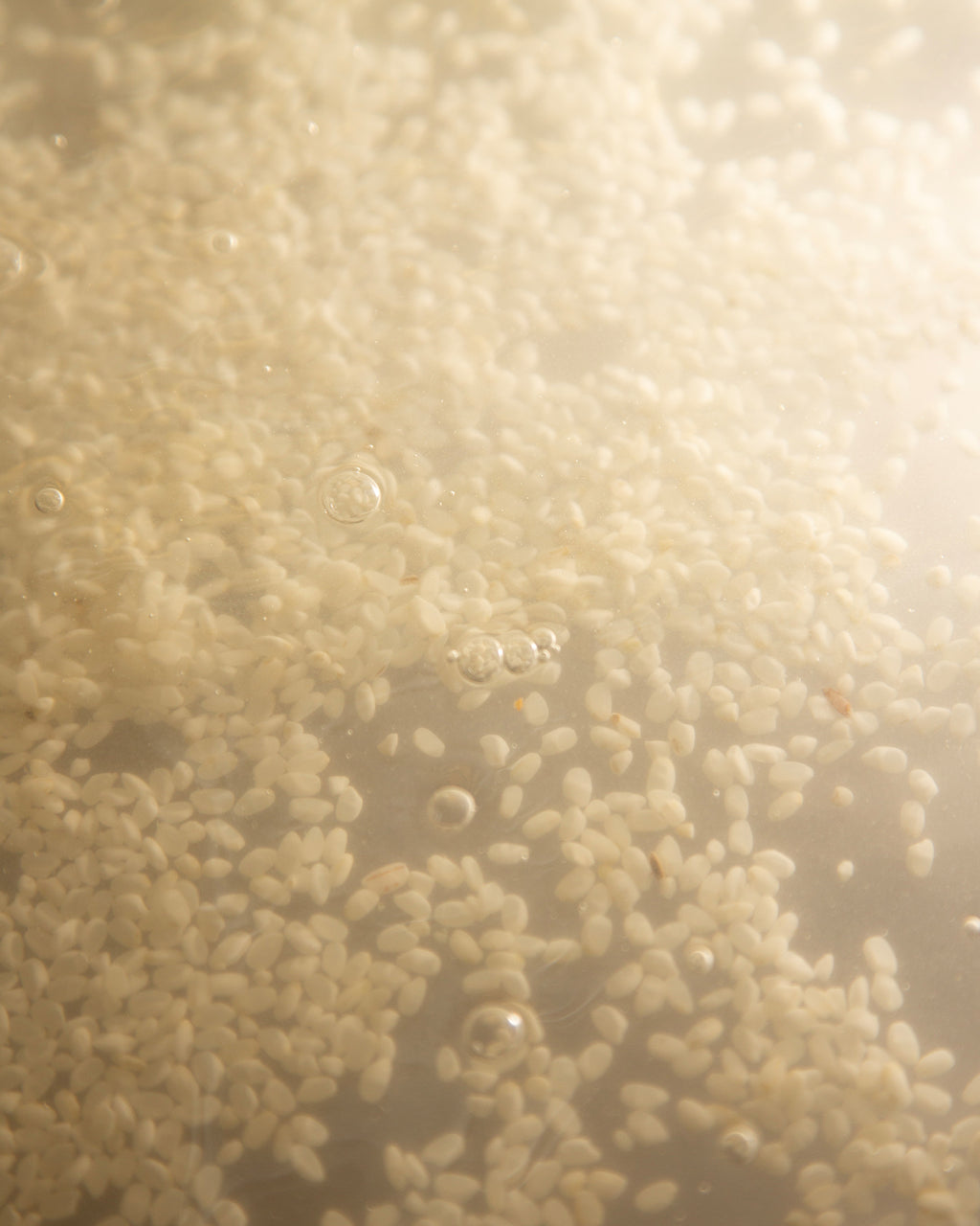 Buy, Shop Hyeja Vegan Rice Ferment Gentle Probiotics Cream Online in Dubai, UAE, Saudi Arabia, KSA, Kuwait - OKTA