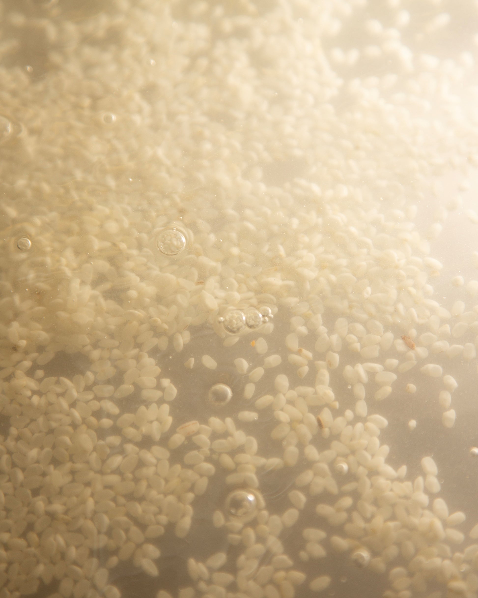 Buy, Shop Hyeja Vegan Rice Ferment Gentle Probiotics Cream Online in Dubai, UAE, Saudi Arabia, KSA, Kuwait - OKTA