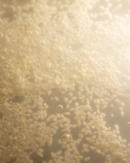 Buy, Shop Hyeja Vegan Rice Ferment Gentle Probiotics Cream Online in Dubai, UAE, Saudi Arabia, KSA, Kuwait - OKTA